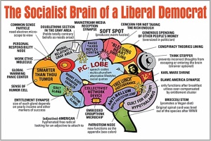 libtard-social-justice-warrior-democrat-brain