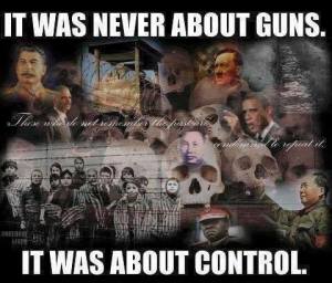 Socialist gun control