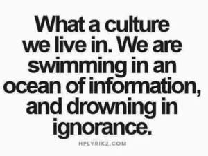In an ocean of information and drowning in ignorance